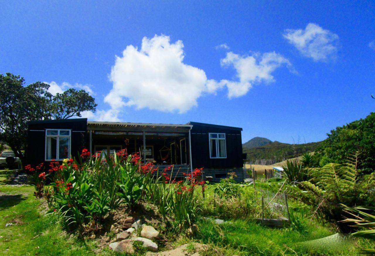 Bed and Breakfast Mulberry Grove Retreat Tryphena Exteriér fotografie